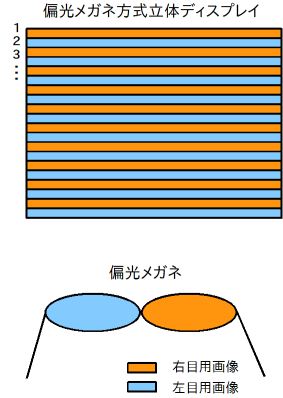 [図3.1]偏光メガネ方式立体ディスプレイの原理