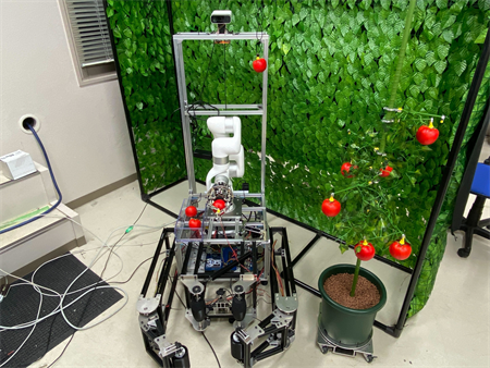 ポット栽培野菜収穫ロボット