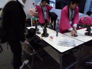 sciencefesta1