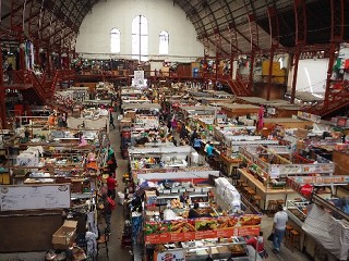 mexico-report_4-6
