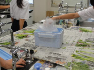 科学実験２