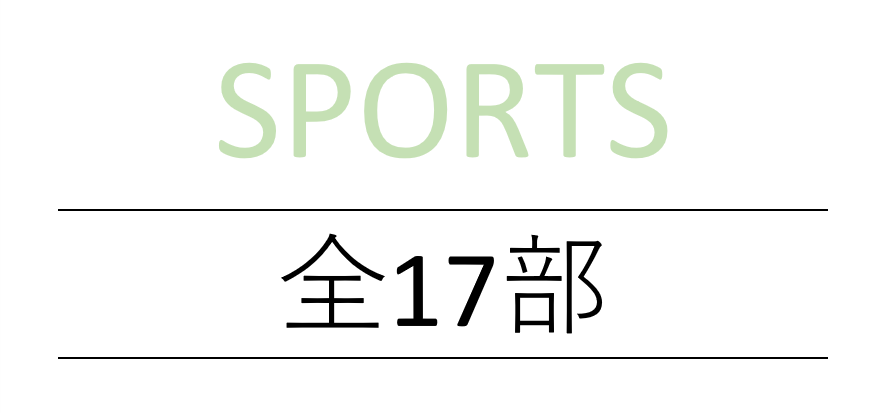 sports 全17部